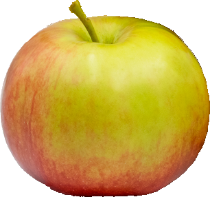 Ida Red Apple