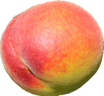 Red Haven Peach